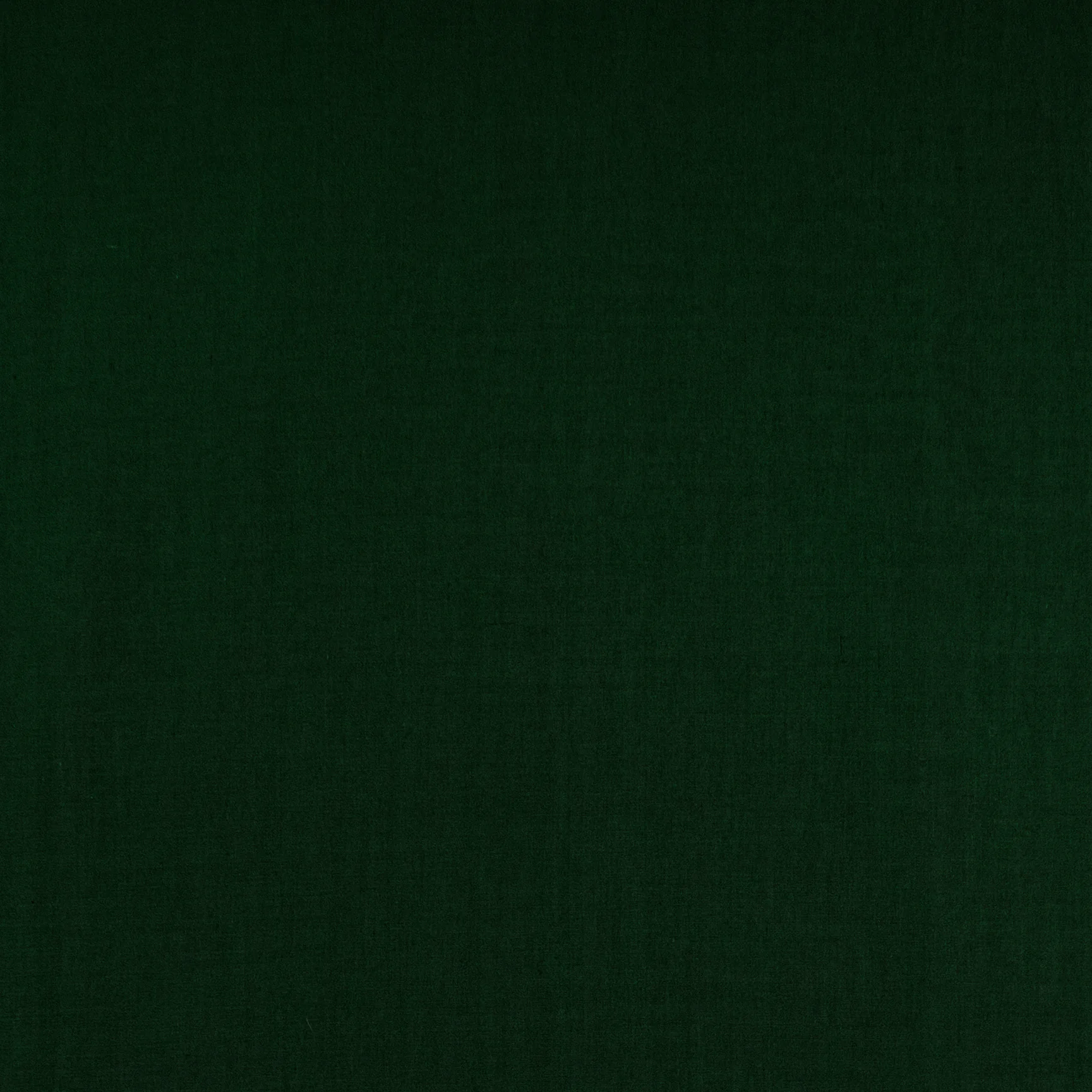 Thumbnail 22